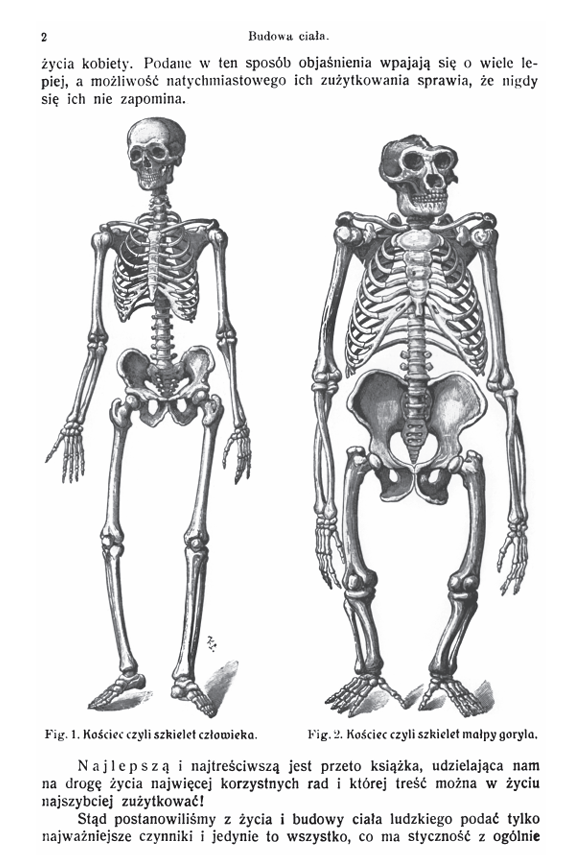 Screenshot 2025-11-19 193604