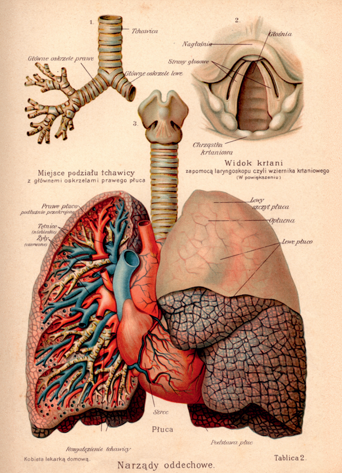 Screenshot 2025-11-19 193731