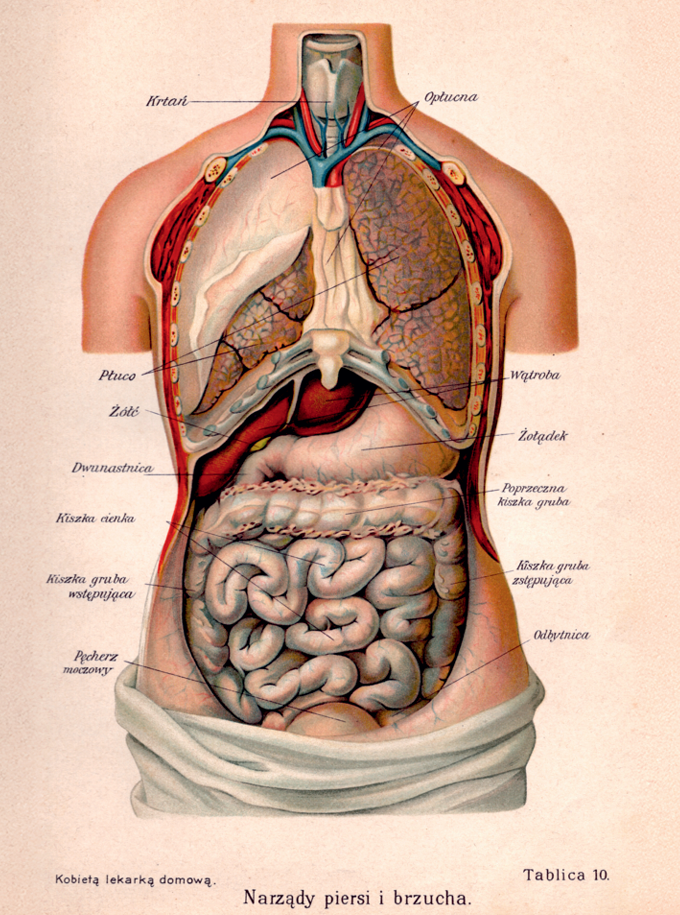 Screenshot 2025-11-19 194351