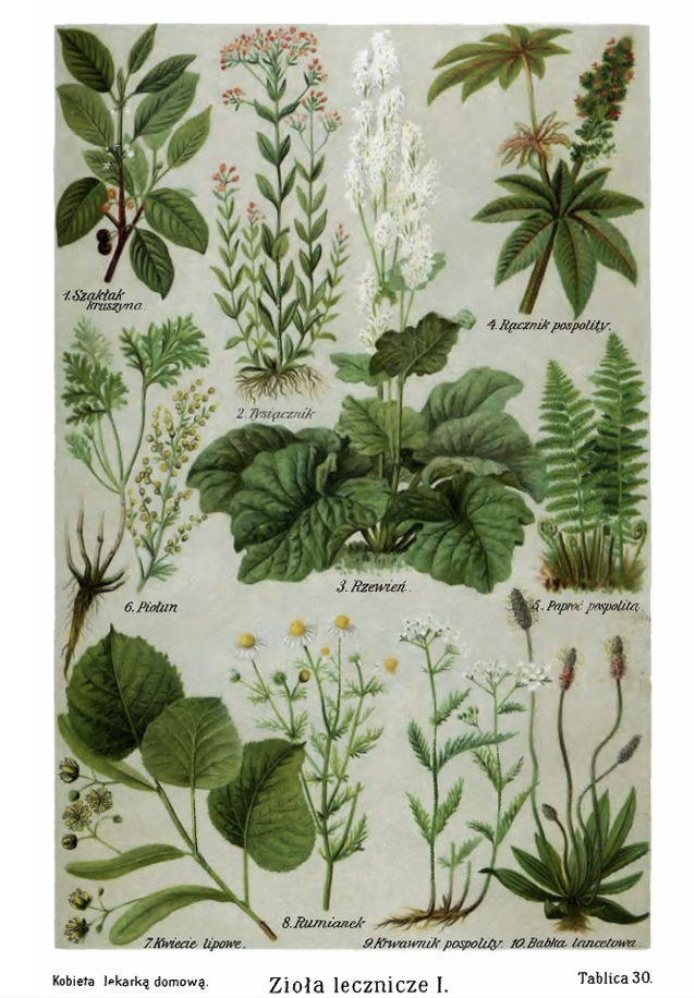 Screenshot 2025-11-19 194839